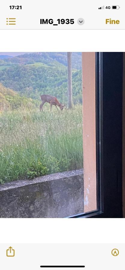 B&B Le Ginestre Sala Baganza Zewnętrze zdjęcie